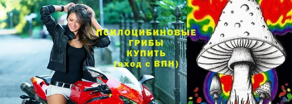 mix Вяземский