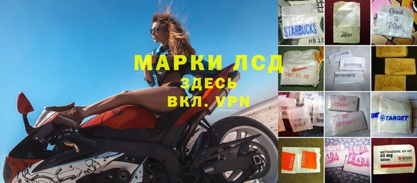 ГАЛЛЮЦИНОГЕННЫЕ ГРИБЫ Горно-Алтайск