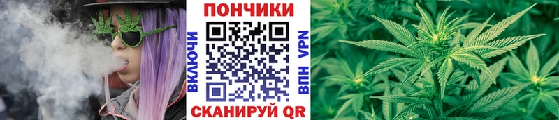 Купить где Саяногорск Марихуана Amnesia